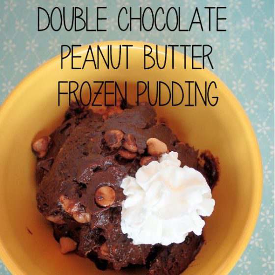 Double Chocolate Peanut Butter Coffee Frozen Pudding