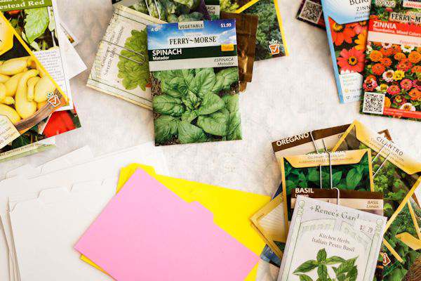 DIY Seed Storage Container - My Life Abundant