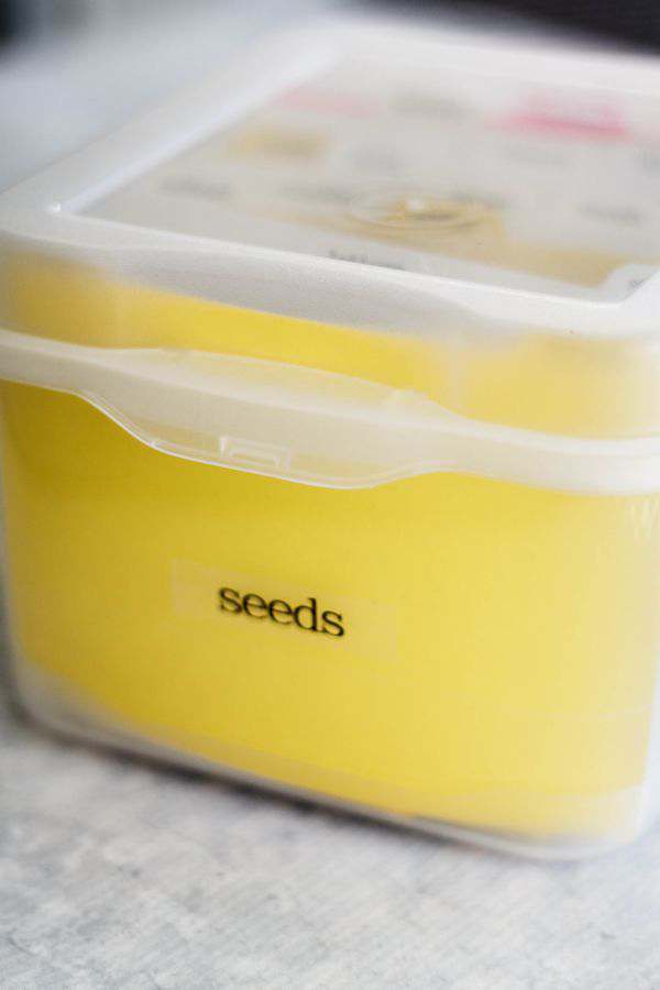 The Best Seed Storage Box, How To Store Seeds