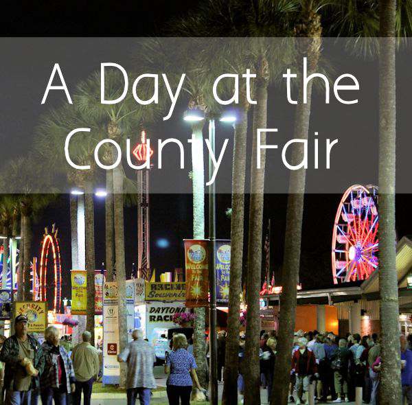 A Day at the County Fair