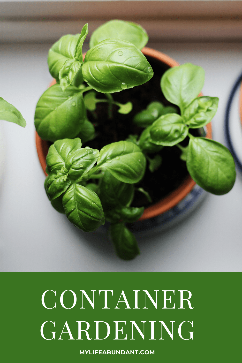 Gardens come in all sizes and container gardening is so easy to do. Don't have a yard or live in an apartment? Get containers and grow a garden.