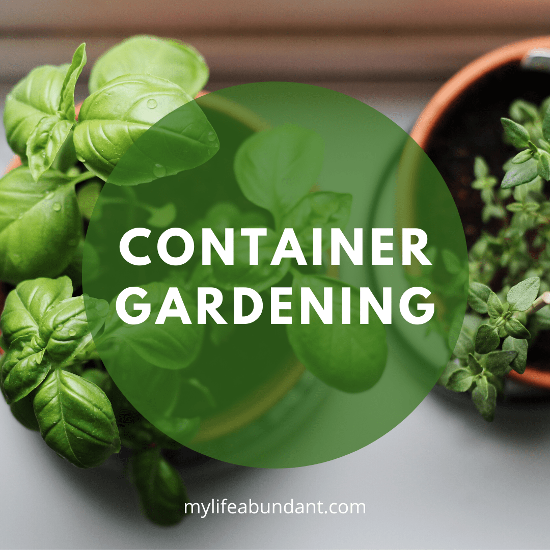 Gardens come in all sizes and container gardening is so easy to do. Don't have a yard or live in an apartment? Get containers and grow a garden.