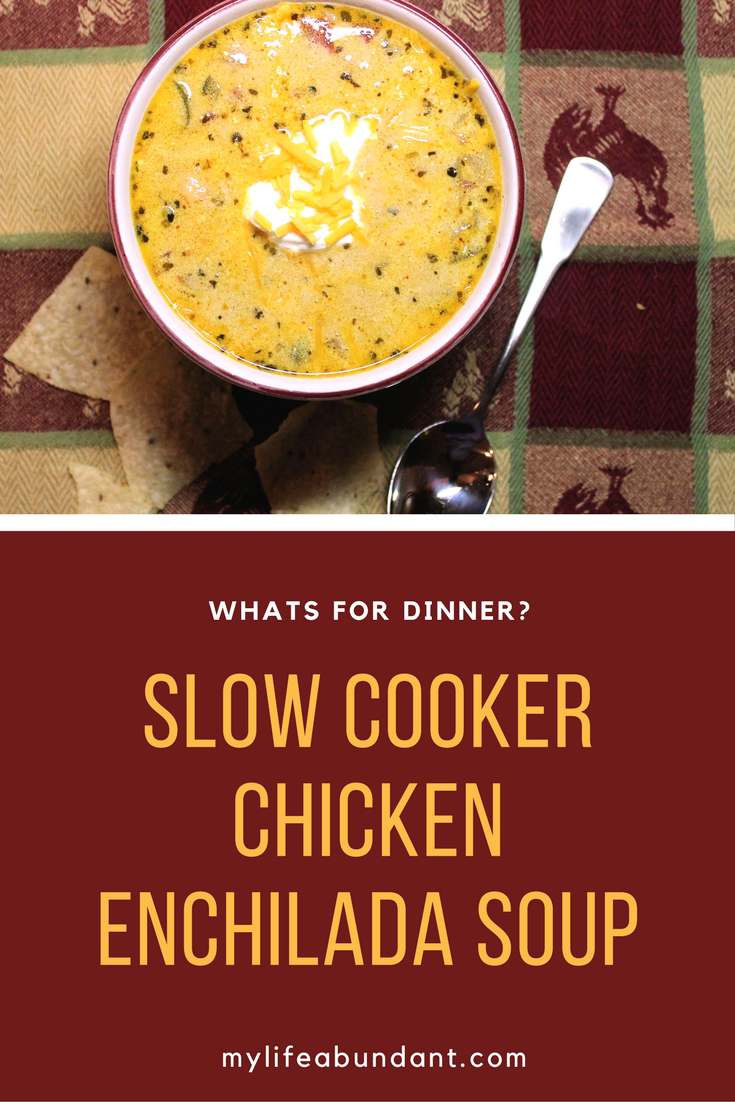 If you love the flavor of Mexican food, then you will love this Slow Cooker Chicken Enchilada Soup. It is so cheesy and good!