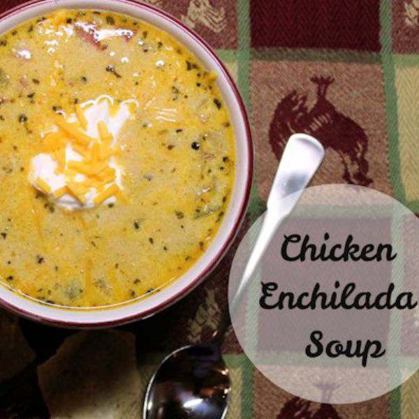 Slow Cooker Chicken Enchilada Soup