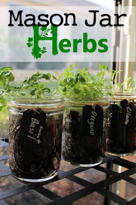 Mason Jar Herbs - My Life Abundant