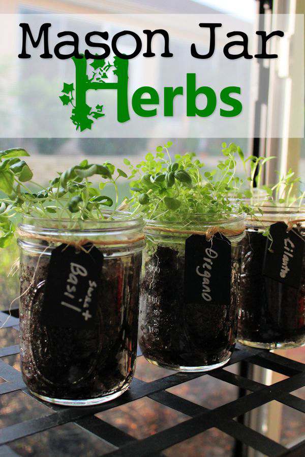 Mason Jar Herbs