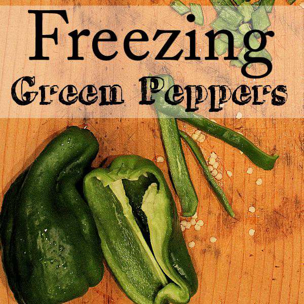 When its time to harvest green peppers and you have so many, you wonder what to do with them? Easy, put them in the freezer. Its easy.