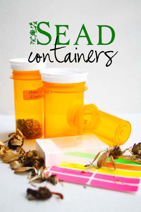 DIY Seed Containers