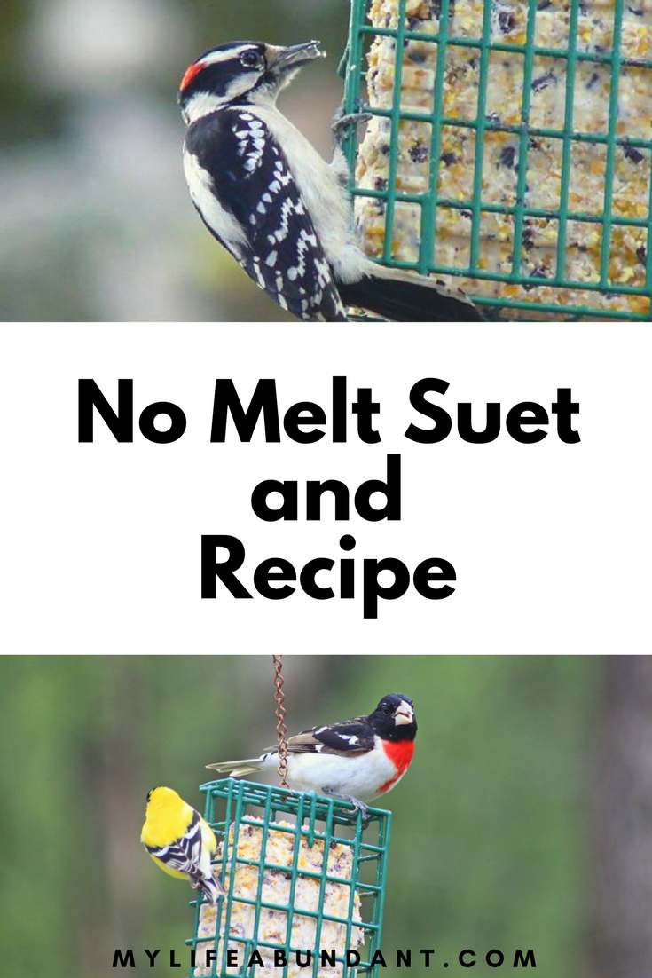 no-melt-suet-and-recipe-my-life-abundant