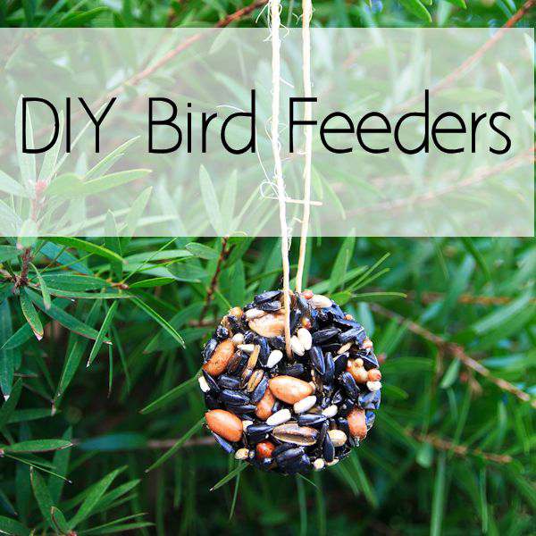 DIY bird feeders made with cookie cutters and the perfect winter project to do with your kids. The birds love it!