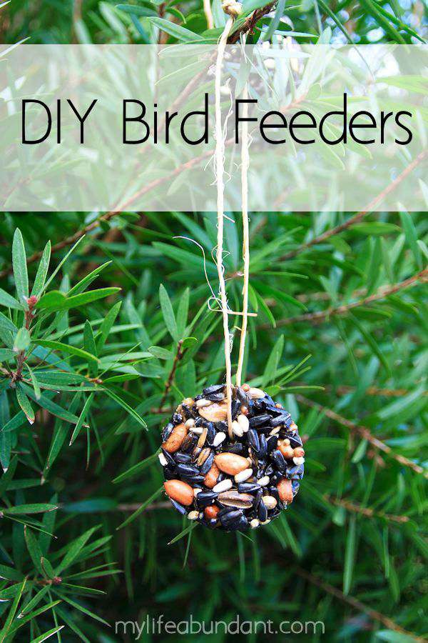 DIY bird feeders made with cookie cutters and the perfect winter project to do with your kids. The birds love it!