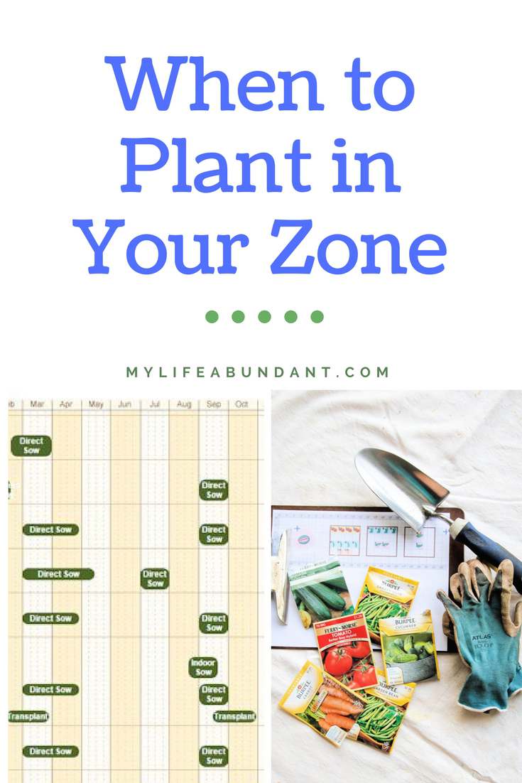 When its time to start your garden, before you begin, you must find out the Zone you live in. I will show you how to find that out.