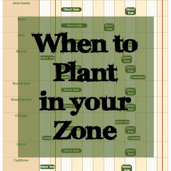 When its time to start your garden, before you begin, you must find out the Zone you live in. I will show you how to find that out.