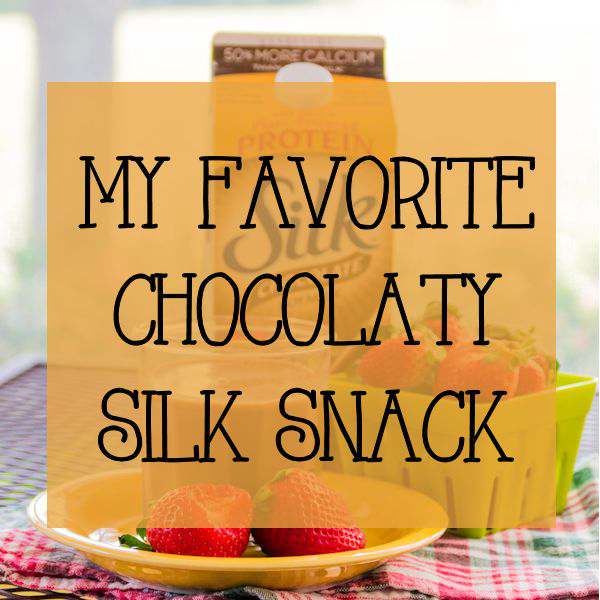 My Favorite Chocolaty Silk Snack