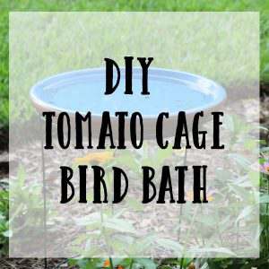 DIY Tomato Cage Bird Bath