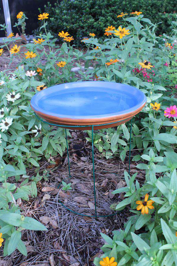 Looking for a very easy way to make a bird bath? All you need is a few garden items and this DIY project in done in minutes