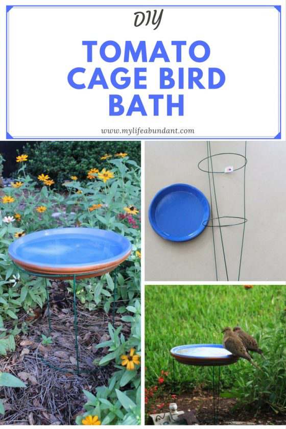 DIY Tomato Cage Bird Bath - My Life Abundant