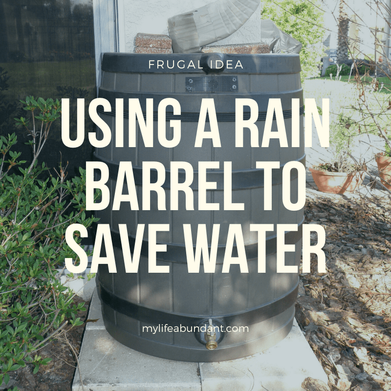 Looking for a way to save money on water and also have enough water for your plants or garden? How about a rain barrel.