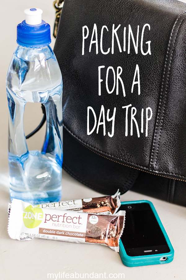 Packing Healthy Snacks for a Day Trip