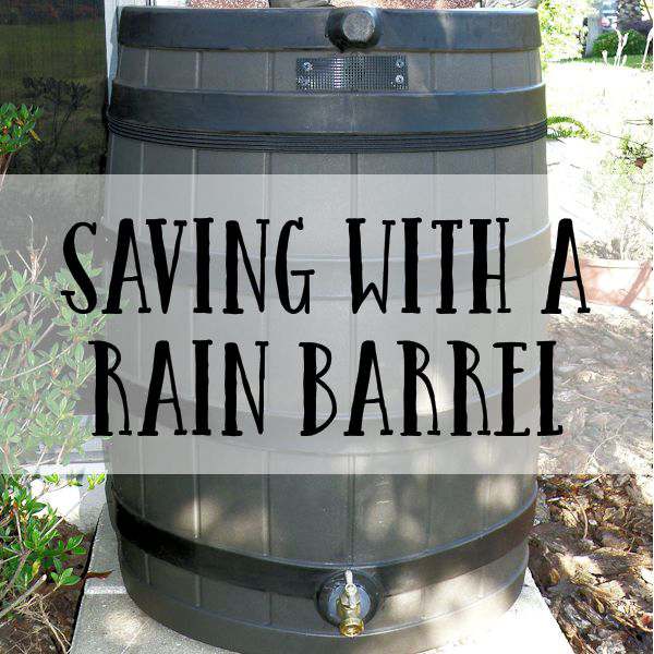RainBarrelfp