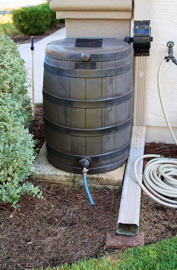 Using a Rain Barrel to Save Water