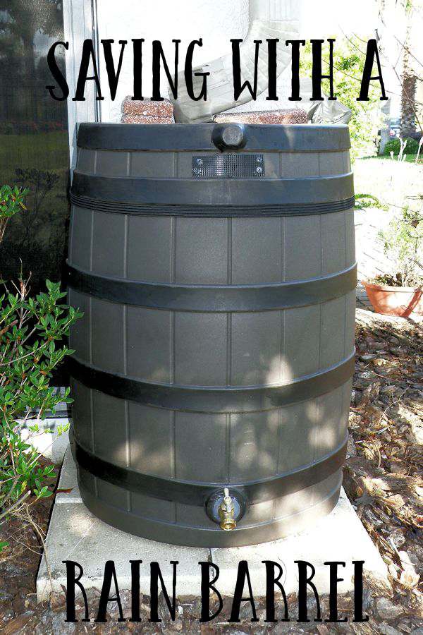 Looking for a way to save money on water and also have enough water for your plants or garden? How about a rain barrel.