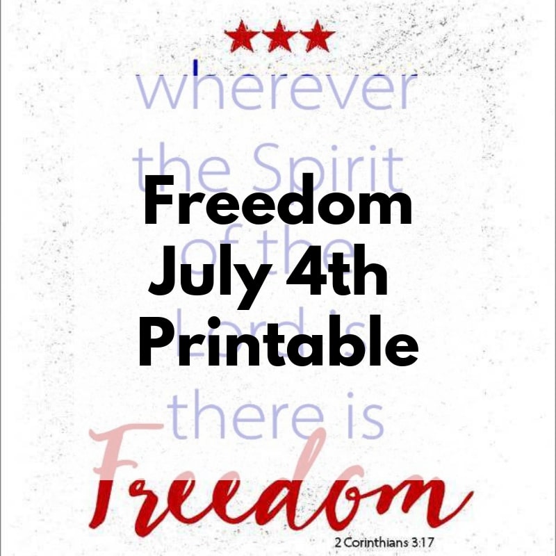 July 4th + {Printable}