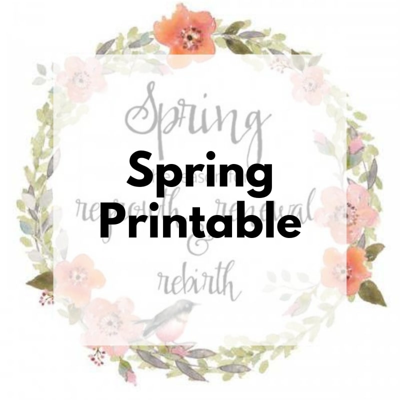 The Reason for Spring {Printable}