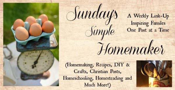 Sunday’s Simple Homemaker Party #6