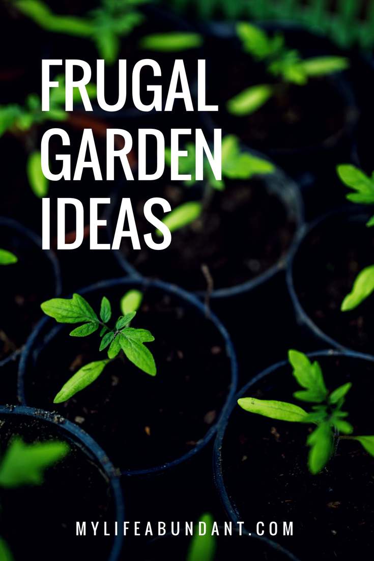 Gardening is a great way to grow healthy pest free food your family and friends can enjoy. Here are a few frugal ways grow your garden.