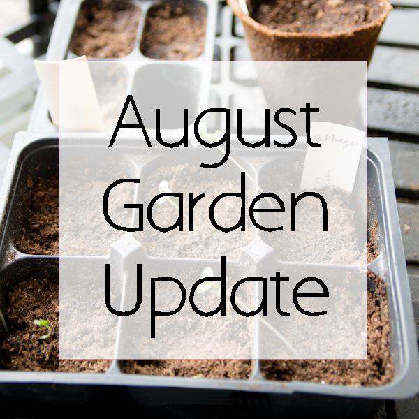 August 2016 Garden Update