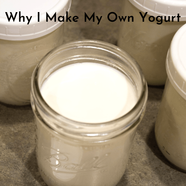 I love making my own yogurt with the Instant Pot. Its easy, its cheaper and it so creamy and healthy for you.