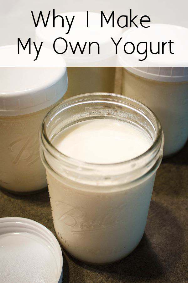 Why I Make My Own Yogurt