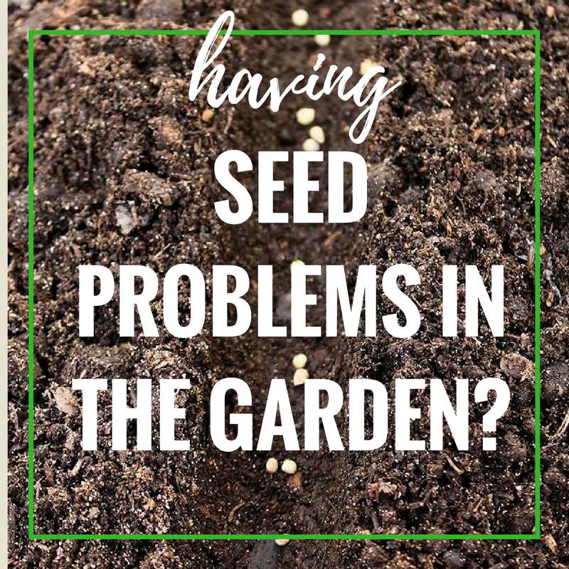 Do you have seeds which don't germinate? Find out what I have learned about using the correct seeds in your area.