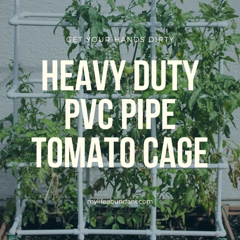 My New Heavy Pvc Duty Tomato Cage My Life Abundant,How Often Do Puppies Poop A Day