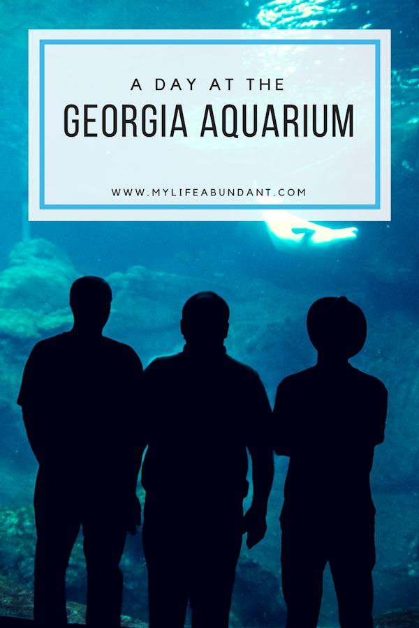 A Day at the Georgia Aquarium