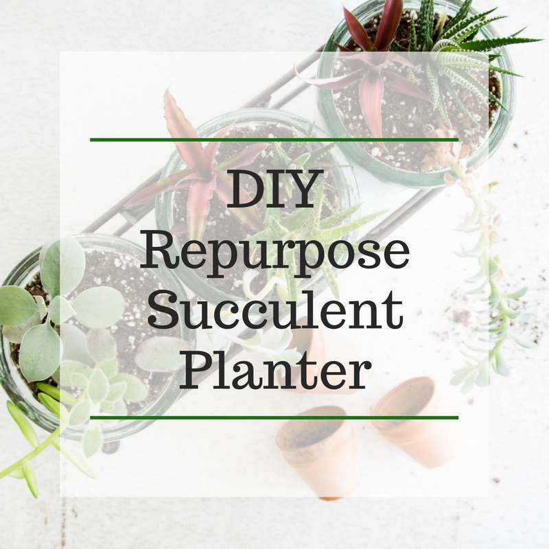 DIY Repurpose Succulent Planter