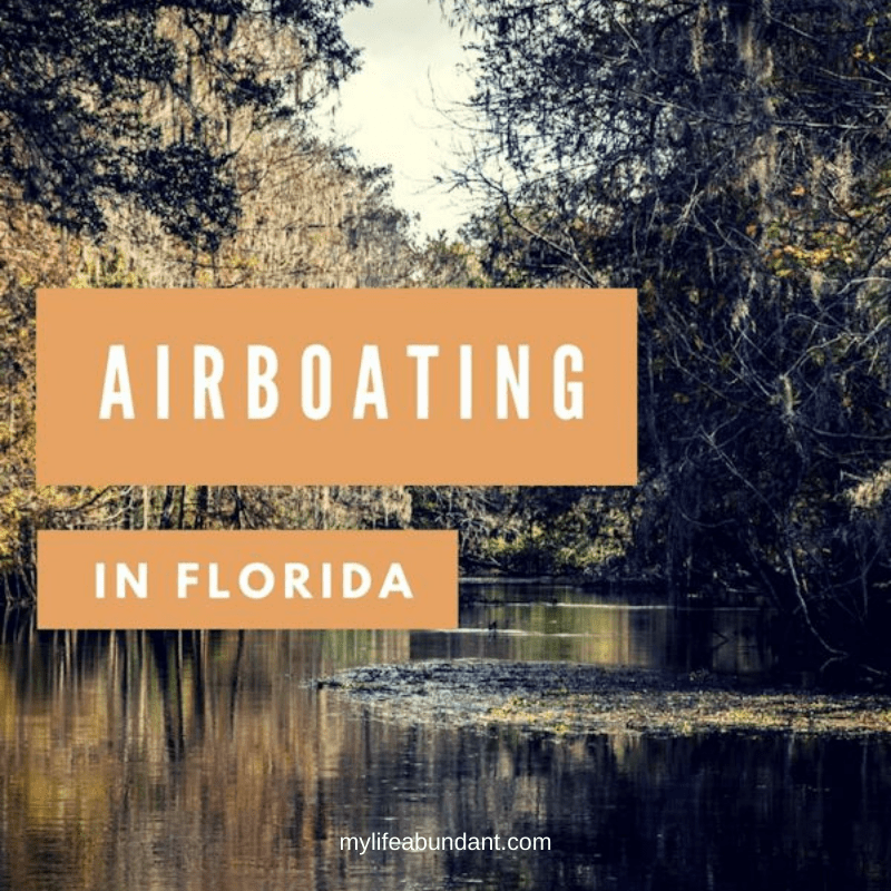 Airboating in Florida is a great way to see what the wetlands are like. So many endangered species to enjoy along the way.