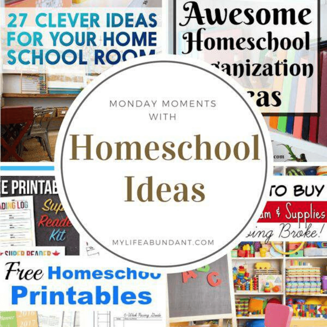 Homeschool Ideas