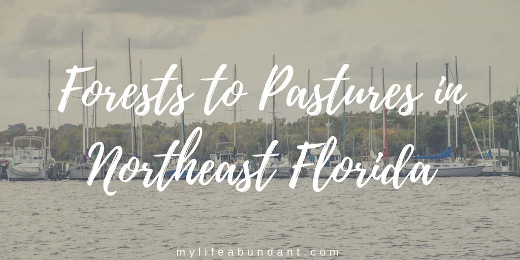 Forests to Pastures in Northeast Florida