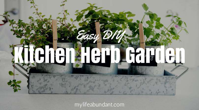 Easy DIY Kitchen Herb Garden | My Life Abundant