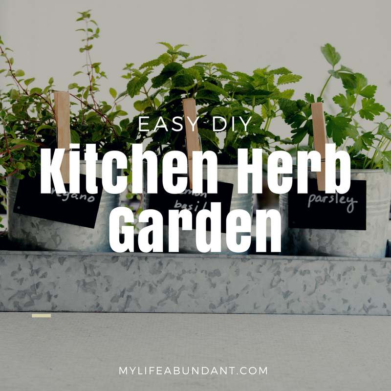 Easy Diy Kitchen Herb Garden My Life Abundant