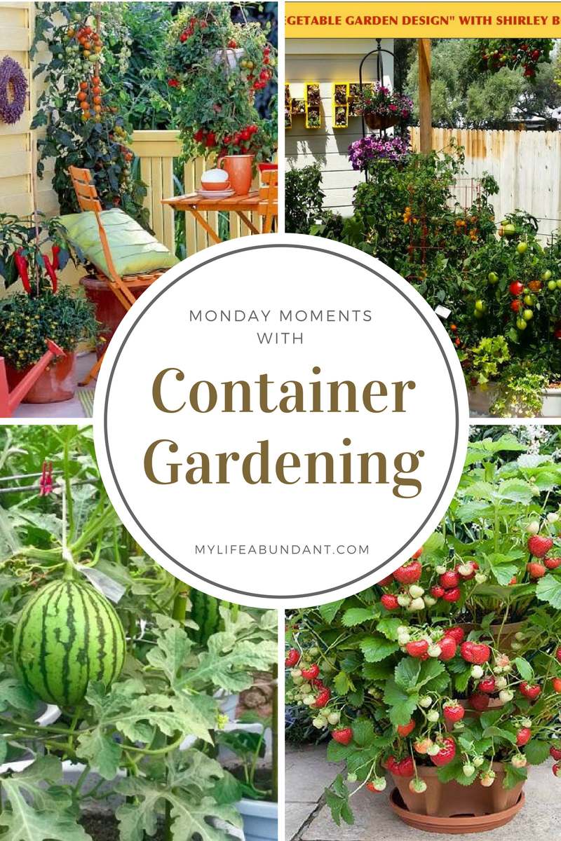 Have only a small area but you want to grow veggies or berries? How about growing them in containers and learn how with these posts.