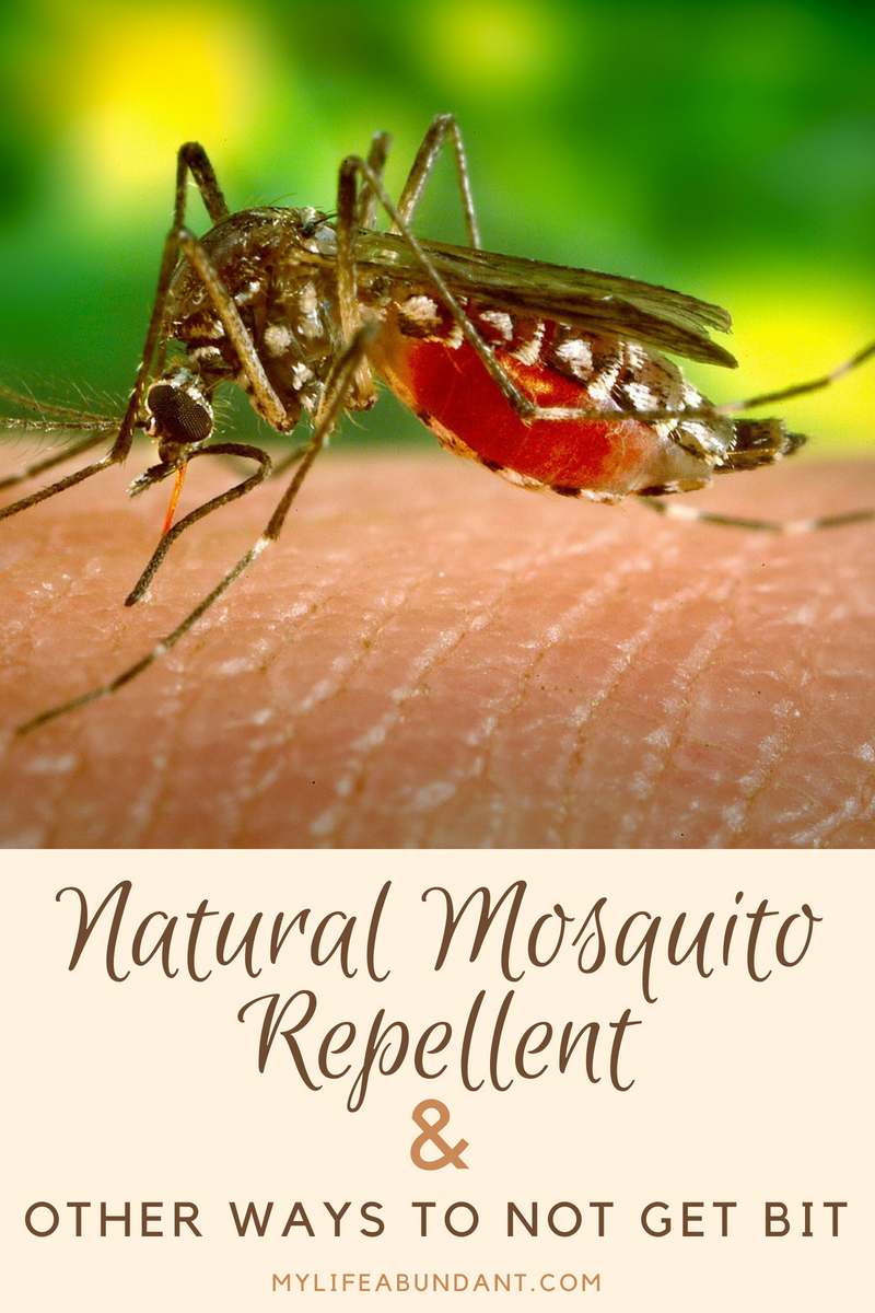 What repels deals mosquitoes naturally