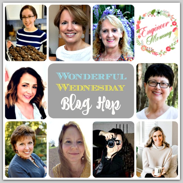 Wonderful Wednesday Blog Hop