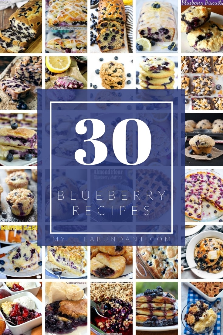 A round-up of a collection of some yummy delicious blueberry recipes I know you will find one you love! 