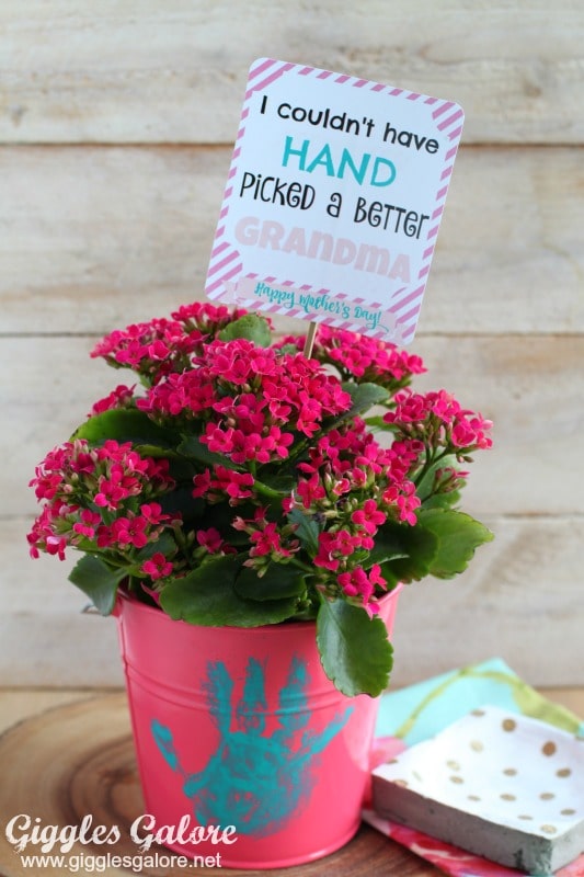 DIY Mother's Day Gift Basket - Giggles Galore