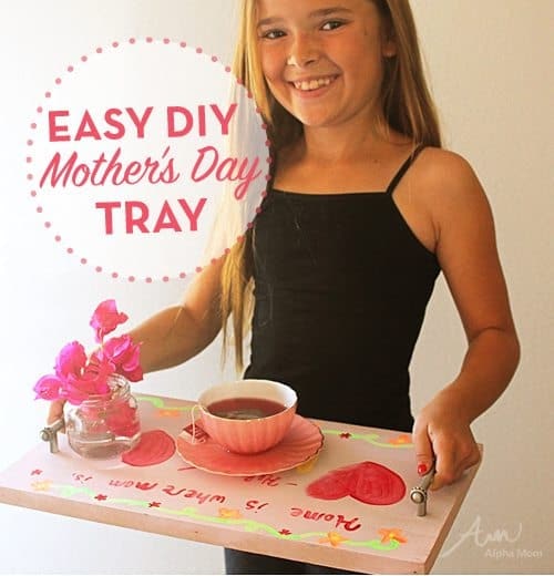 Mother's Day Gift Idea - DIY Playbook