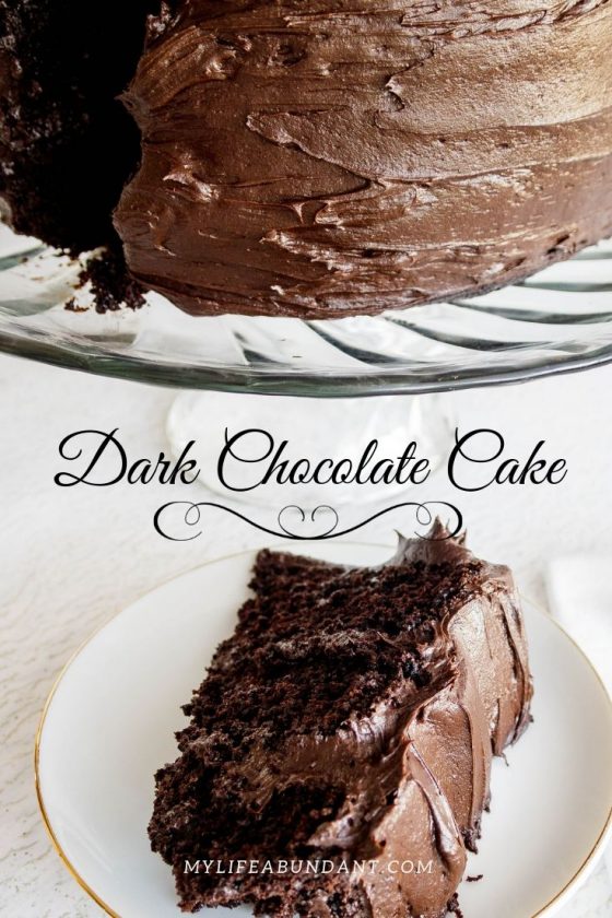 Dark Chocolate Cake - My Life Abundant