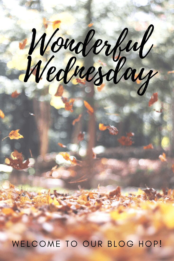 Welcome to the Wonderful Wednesday Blog Hop where we enjoy linking up posts about recipes, crafts, DIY, everyday life & more every Tue at 7:00 pm EST #wwbloghop